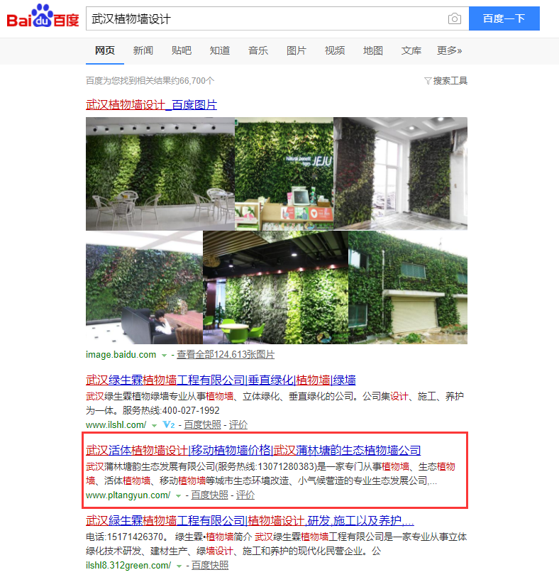 武漢植物墻設計